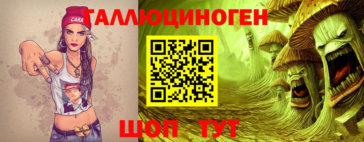 Псилоцибиновые грибы Psilocybine cubensis Минусинск