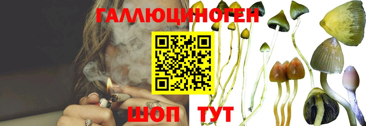 Галлюциногенные грибы MAGIC MUSHROOMS  Вход с VPN  купить наркотик  Минусинск  Галлюциногенные грибы GOLDEN TEACHER 