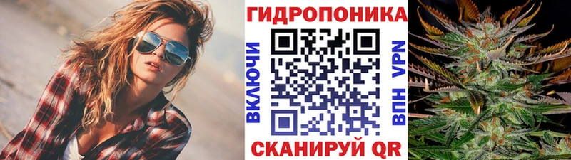 Конопля SATIVA & INDICA  hydra онион  Минусинск  что такое  